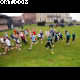 image 16 of 100