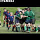 image 12 of 51