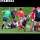 image 17 of 74