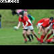image 41 of 74