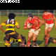image 2 of 75