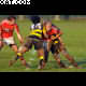 image 34 of 75