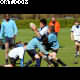 image 24 of 25