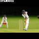 image 11 of 13